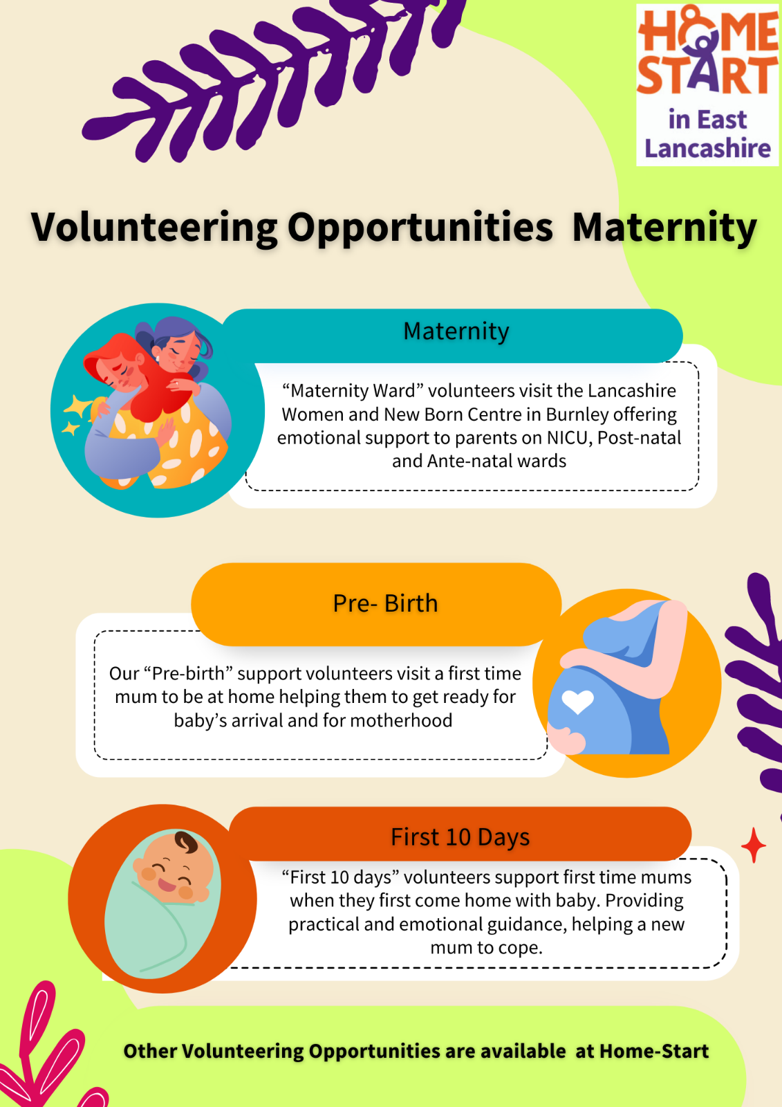 Volunteer opportunity 2