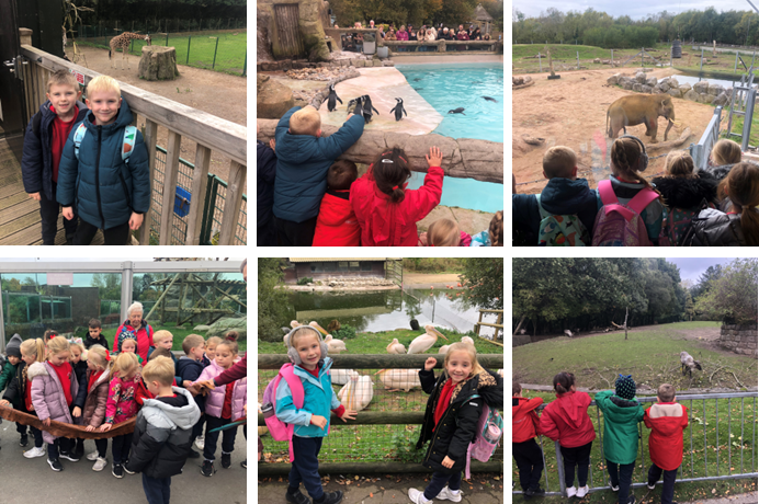 Habitats - Blackpool Zoo Trip