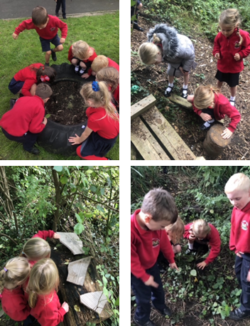 Habitats - Exploring our Wildlife Area